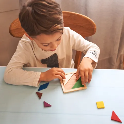 PUZZLE TANGRAM LEIS REF JU0111 ROLY