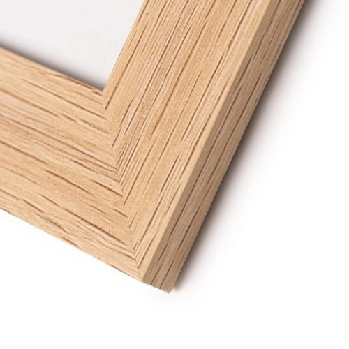 COMPRAR PORTAFOTOS  PIXEL REF HO1278