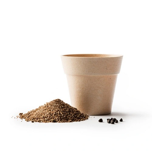 MACETA CON SEMILLAS DE PETUNIA VOLEN REF MC1000 ROLY