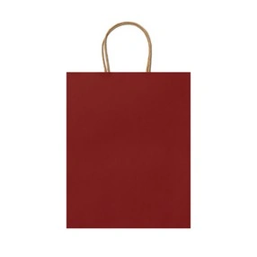 BOLSA DE PAPEL 110 G/M² ROBLE REF BO7540 ROLY